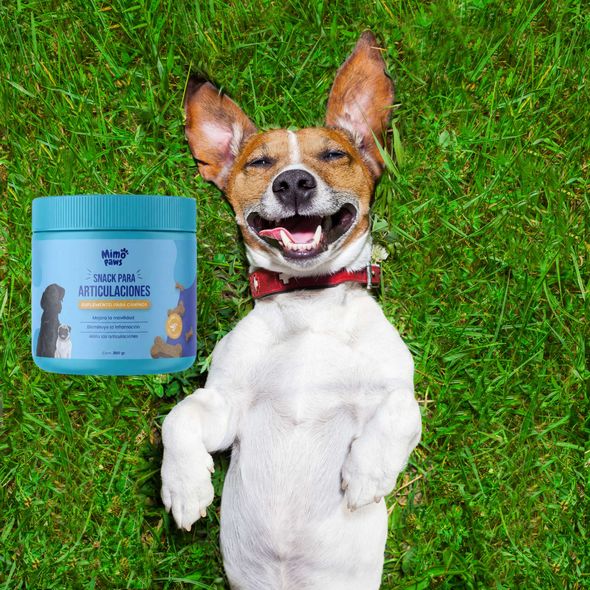 Combo Suplementos para Perros | MimoPaws