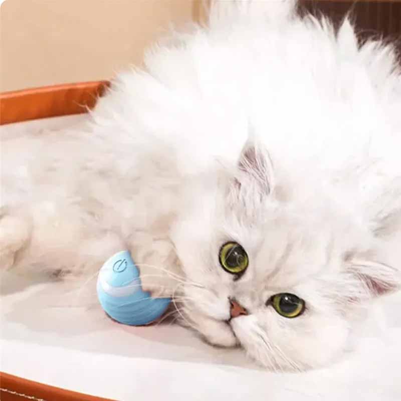 Juguete Pelota Eléctrica con Rebote Automático | MimoPaws