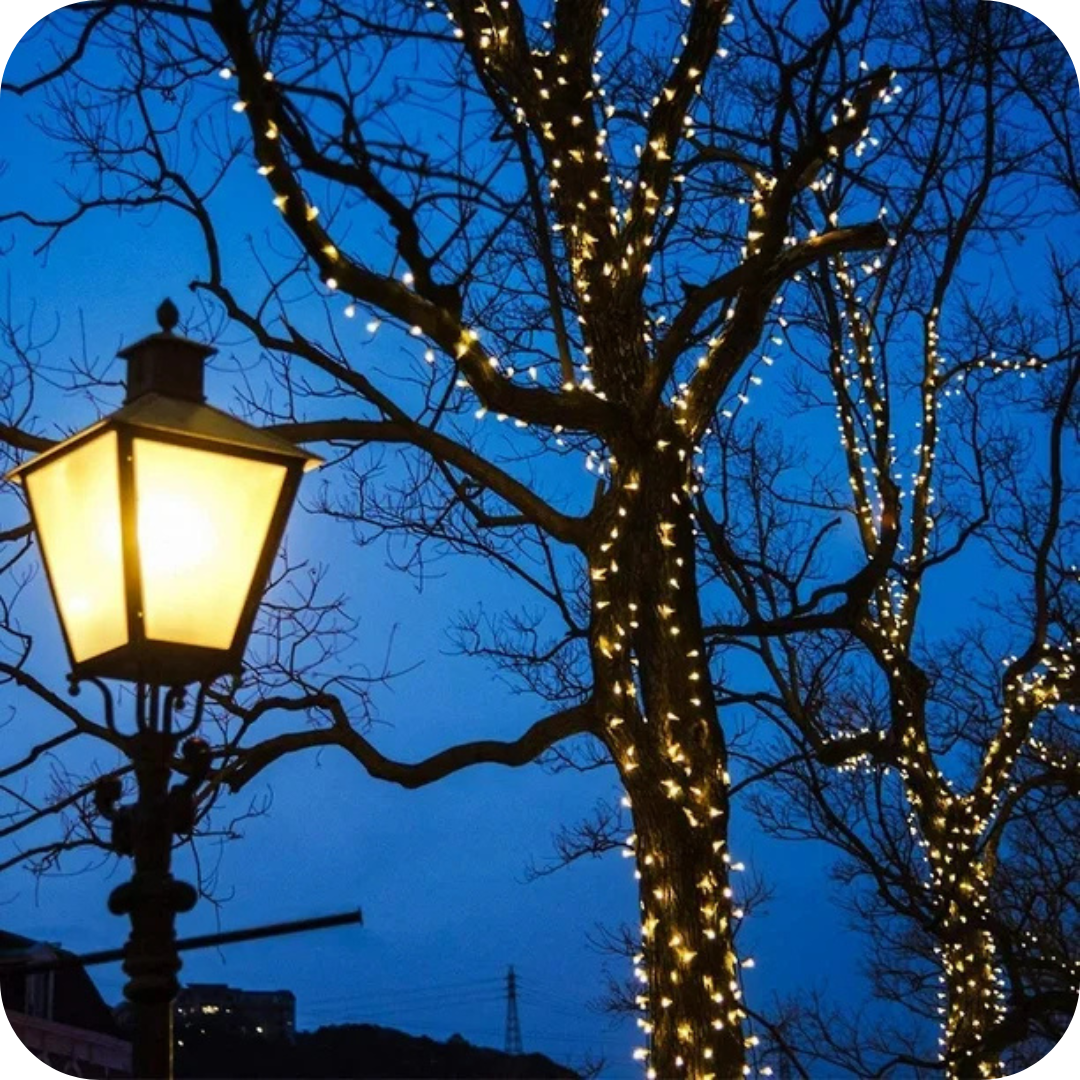 Luces Navideñas con Panel Solar | SolarFest