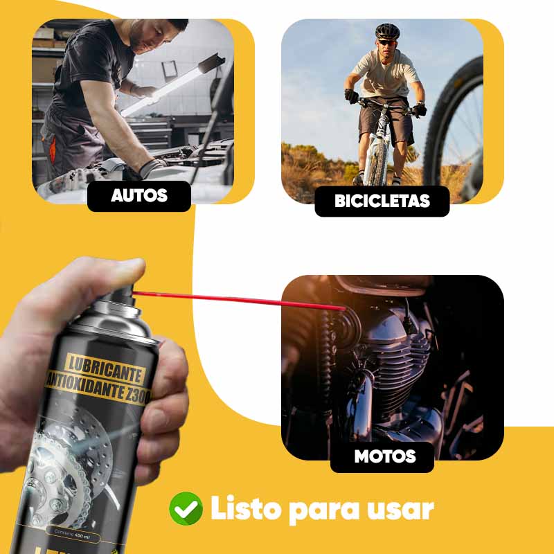 Lubricante Antioxidante Z3000 450ml | Leisel