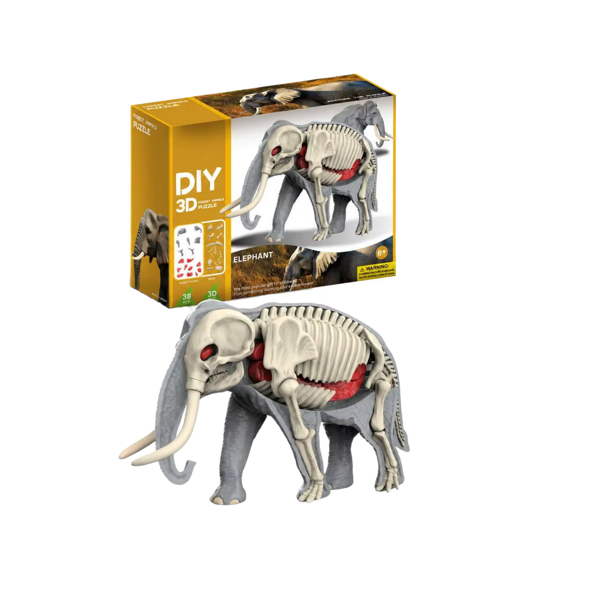 Rompecabezas 3D de Anatomía Animal Armable | AnimalLab