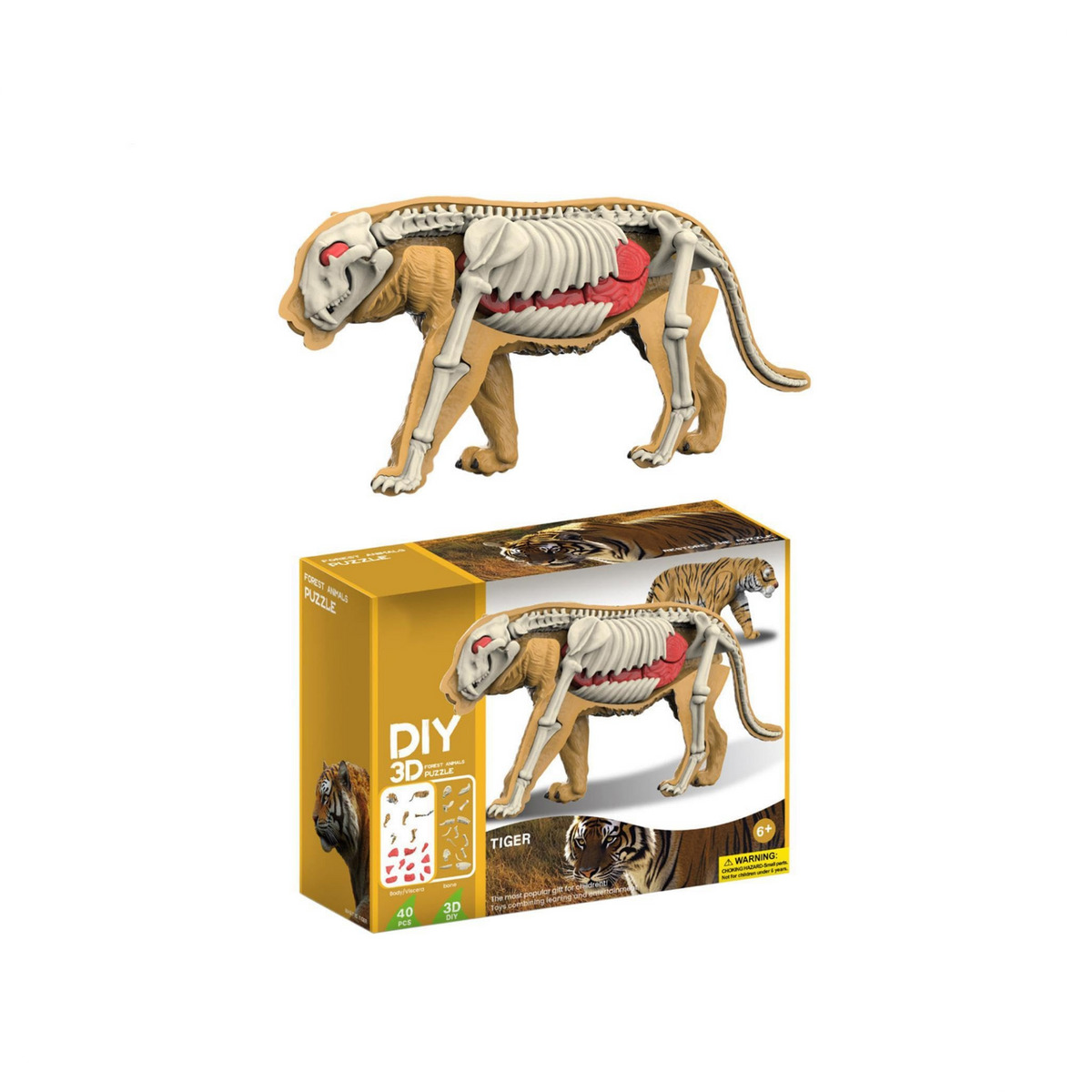 Rompecabezas 3D de Anatomía Animal Armable | AnimalLab