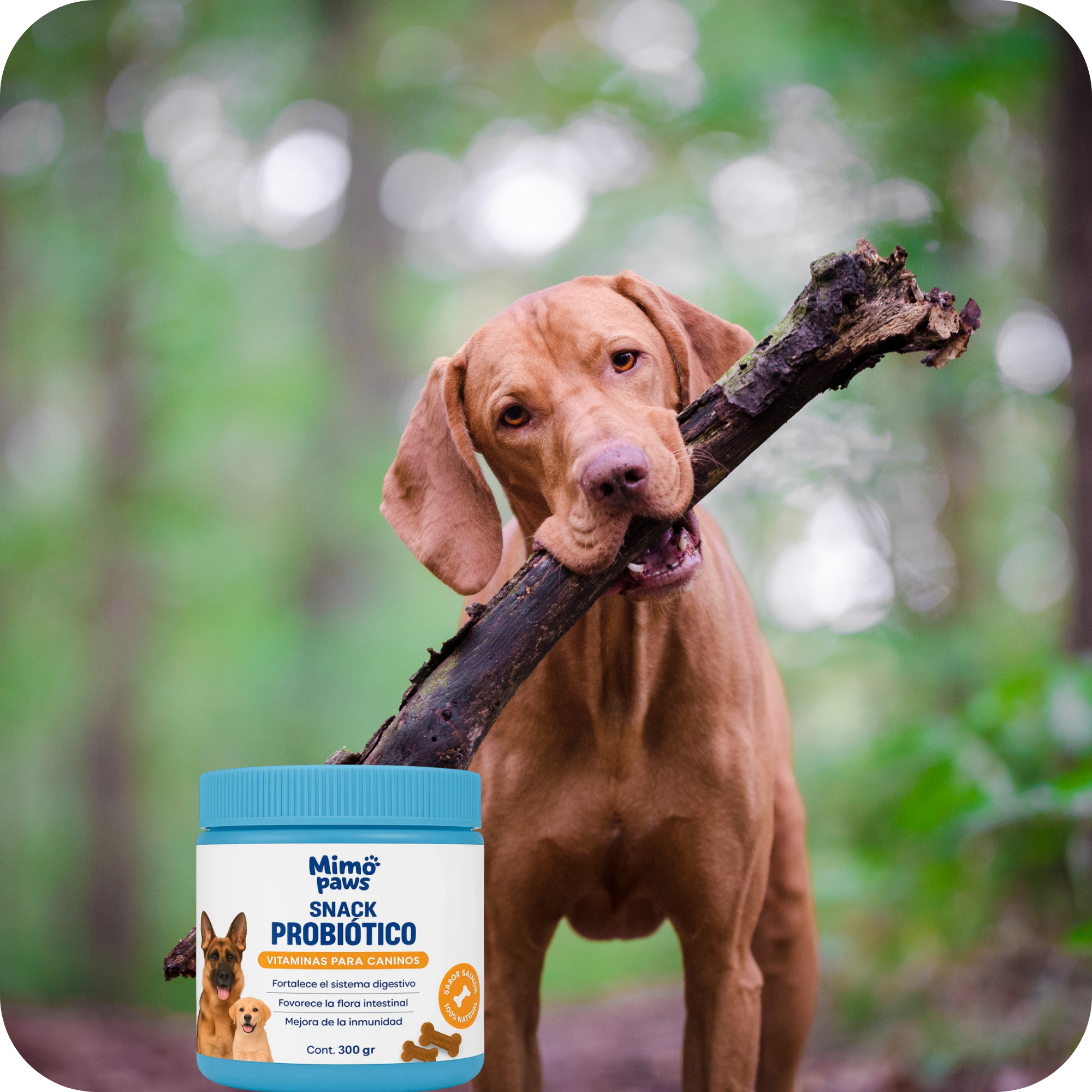 Snack Probiótico | MimoPaws