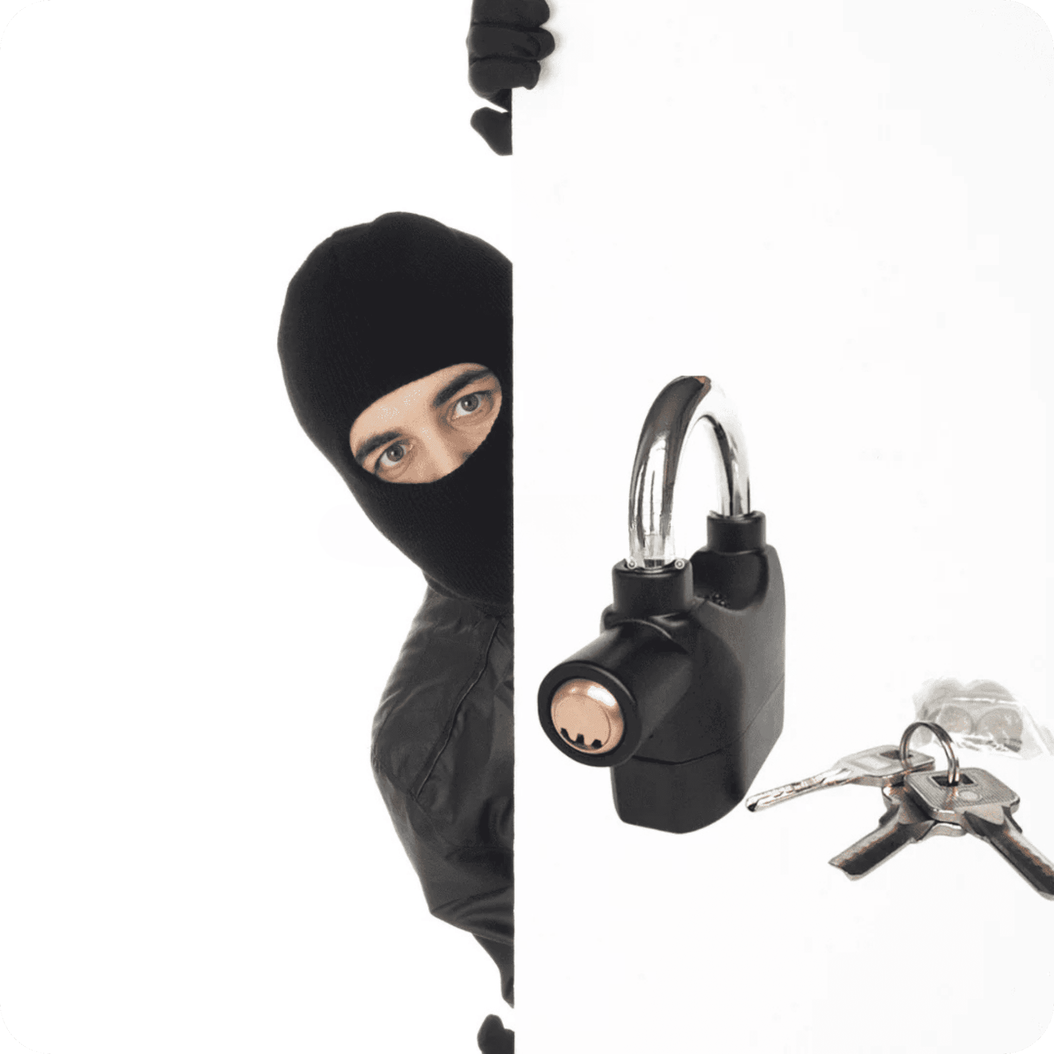 Candado de Seguridad con Alarma | Alarm Lock®