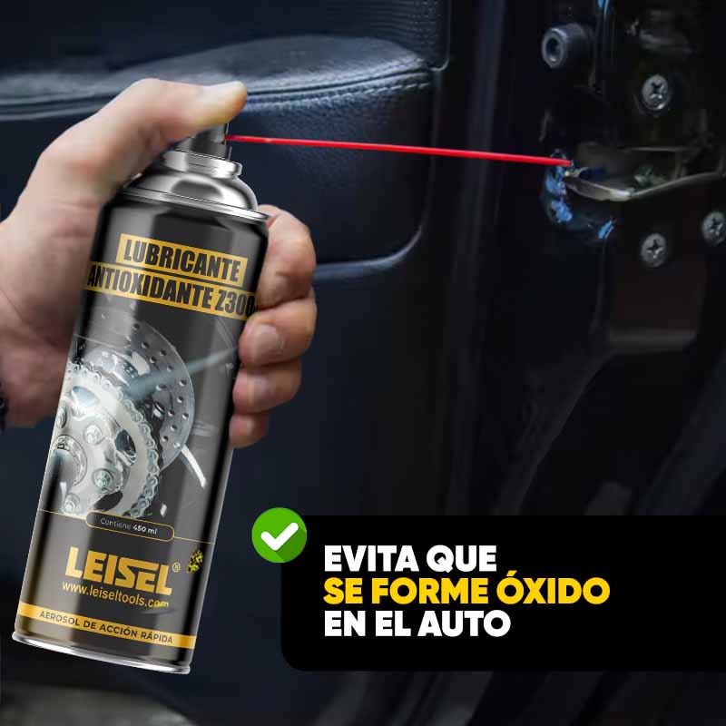 Lubricante Antioxidante Z3000 450ml | Leisel