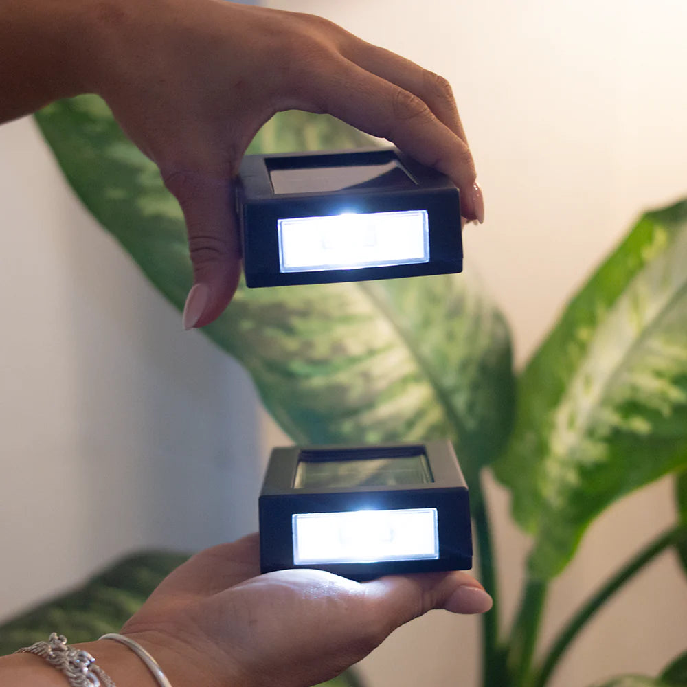 Pack de 2 Focos Solares Dual Garden | Milhome