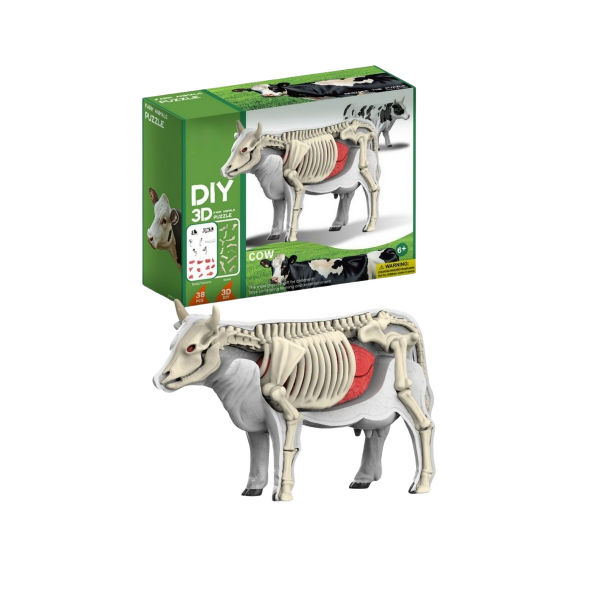 Rompecabezas 3D de Anatomía Animal Armable | AnimalLab