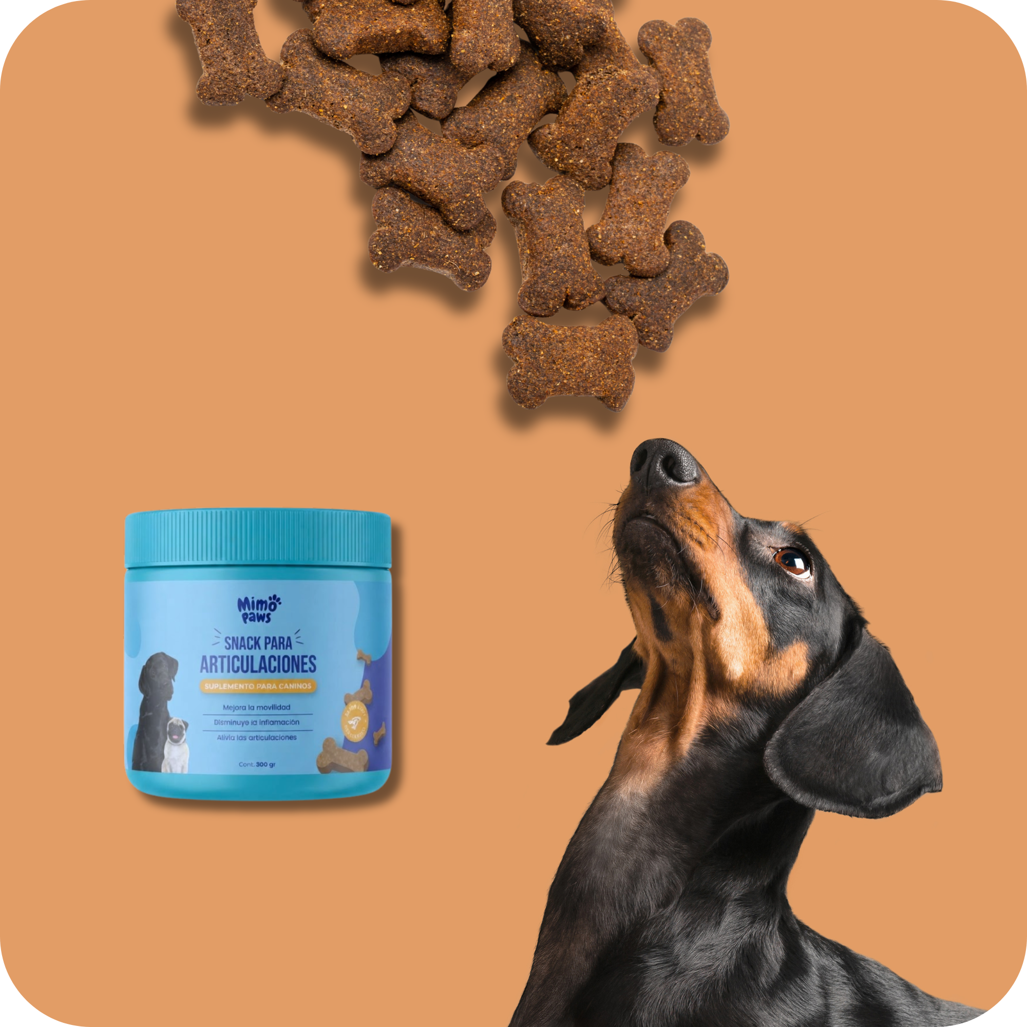Snack para Articulaciones | MimoPaws