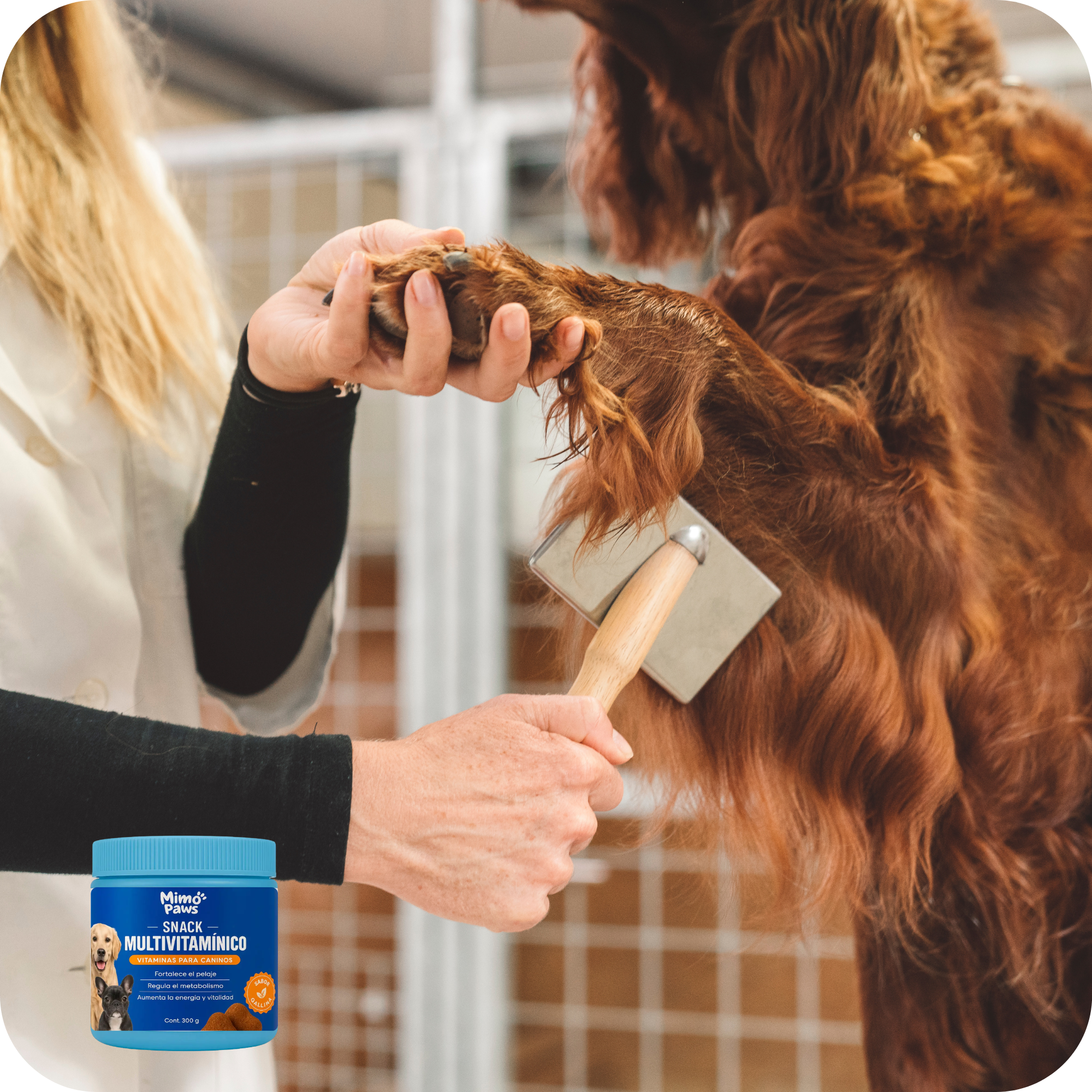 Snack Multivitamínico | MimoPaws