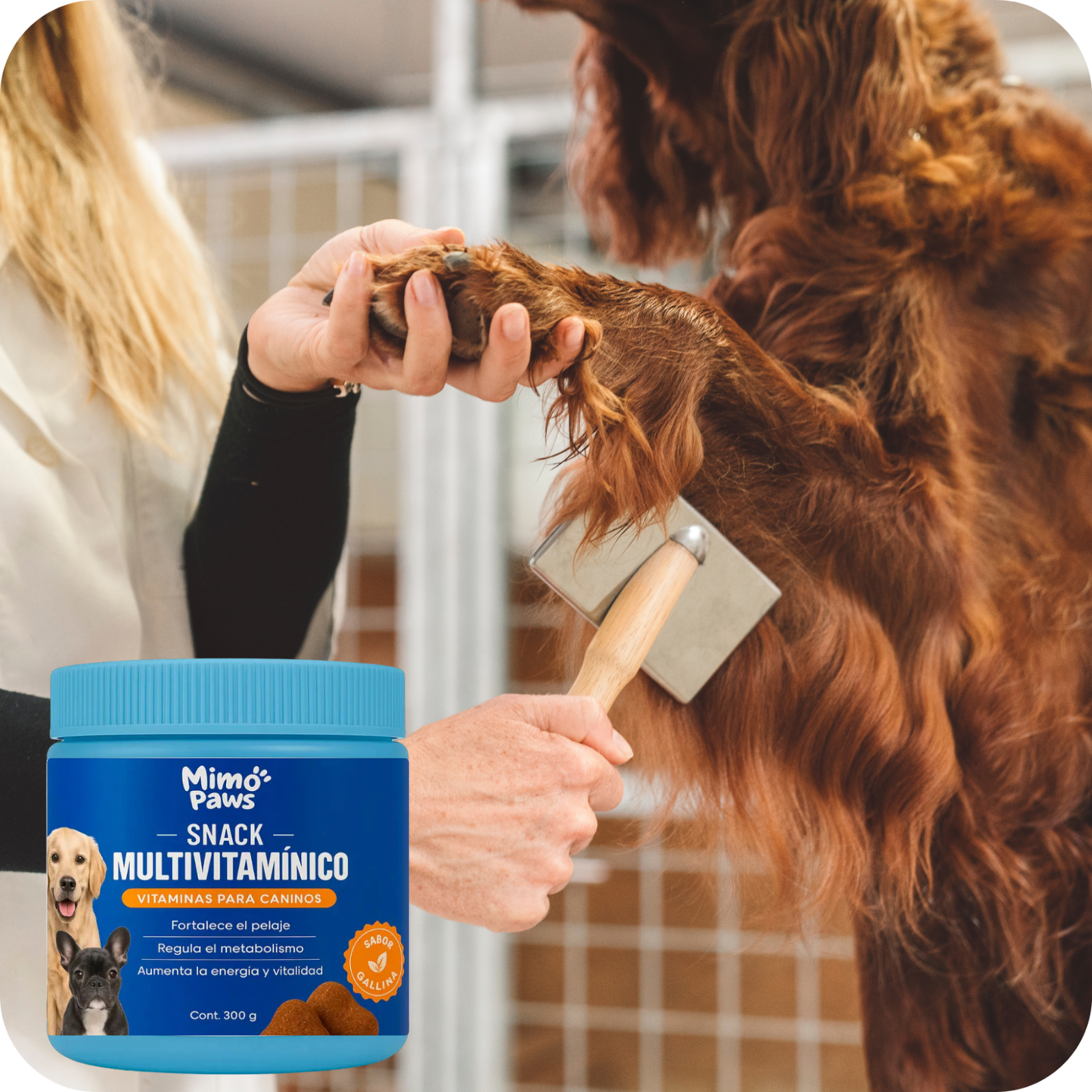Combo Suplementos para Perros | MimoPaws