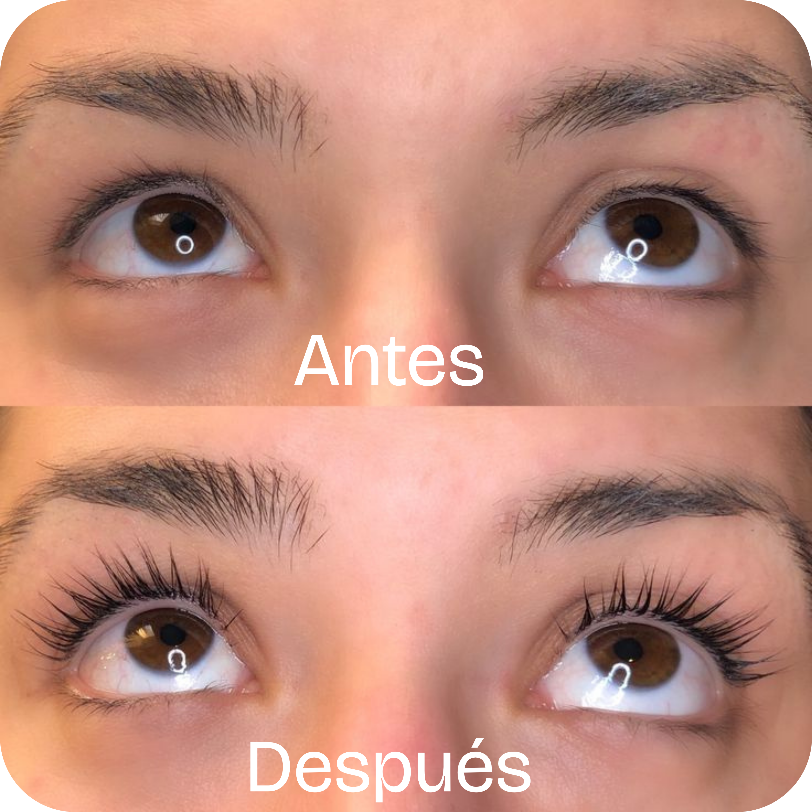 Alargador Y Fortalecedor De Pestañas y Cejas | BIOAQUA