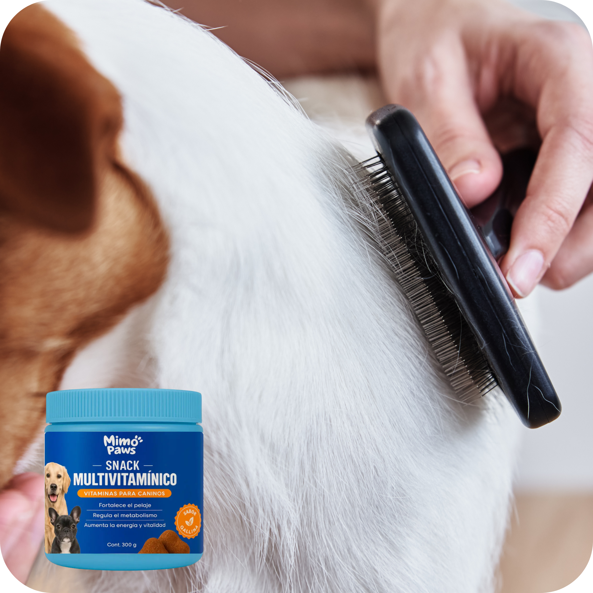 Snack Multivitamínico | MimoPaws