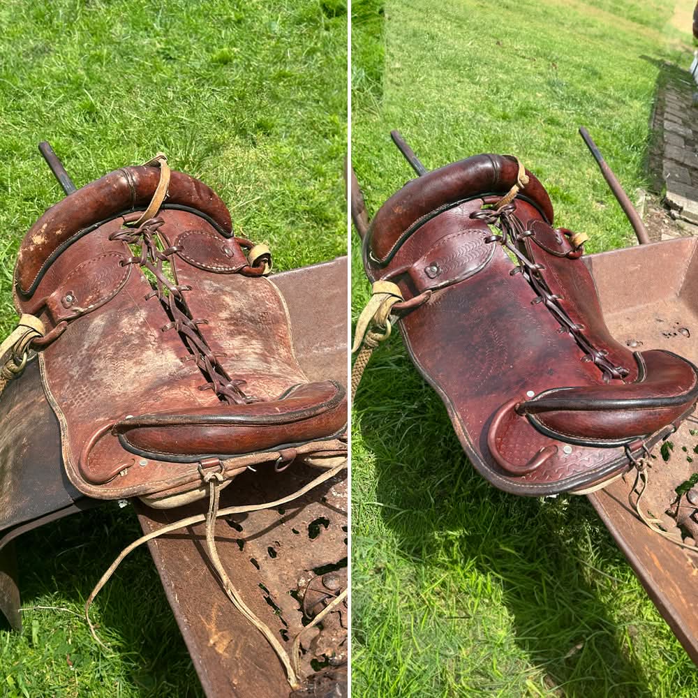 Protector y Revividor de Cuero | Woowax